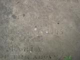 image of grave number 365996